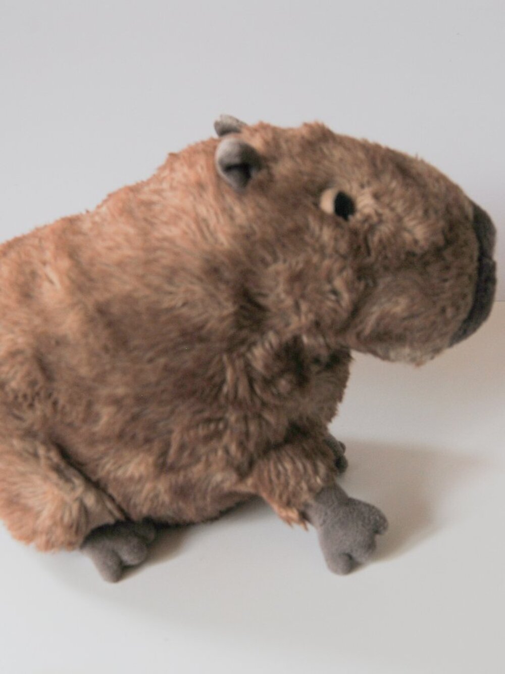 Jellycat CLYDE CAPYBARA Soft Plush Toy Soft Plush Stuffed Animal